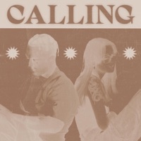 Calling (feat. Soze) - Single - Rae.L