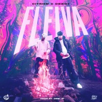 FLEIVA - Single - CITRIEM