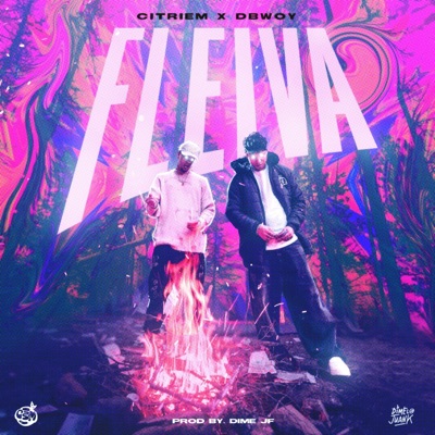 FLEIVA - Single