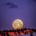 Selene