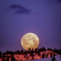 Selene — Martin Howard