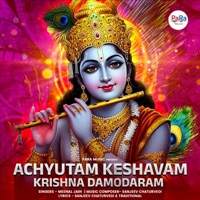 Achyutam Keshavam Krishna Damodaram - Single - Meenal Jain
