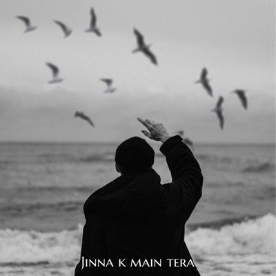 Jinna k main tera - Single