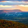 Virginia, I'm Home            