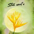 Still want u