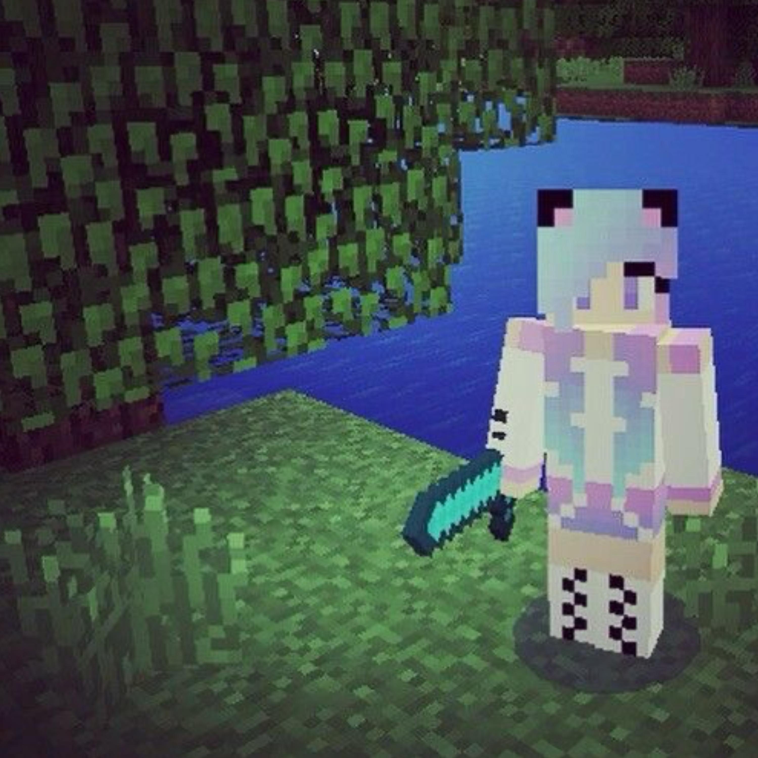 minecraft - Single