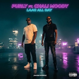 Laag All Day (feat. Chali Moody) Purly