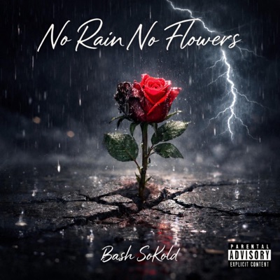 No Rain No Flowers