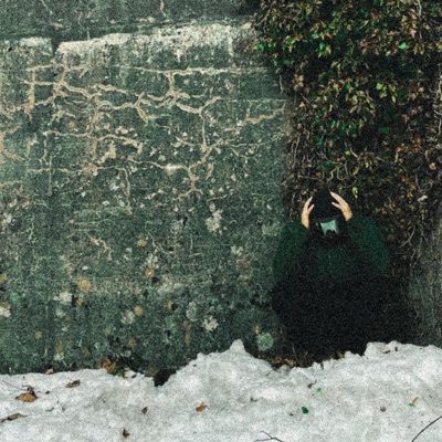 ski jumping 0301 - Single