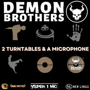 Two Turntables and a Microphone - Single