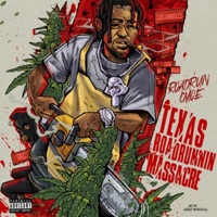 Texas Roadrunnin Massacre - RoadRun CMoe
