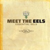 Eels - 3 Speed