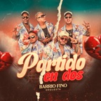 Partido En Dos