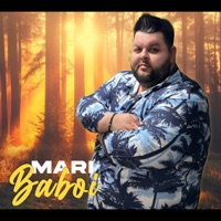 NUMAI VREAU SA NE CERTAM - Single - Mari Baboi