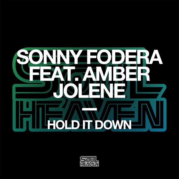Hold It Down (feat. Amber Jolene) - Single