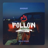 Follow (feat. Wellz) [Remix] - Single - Amoray