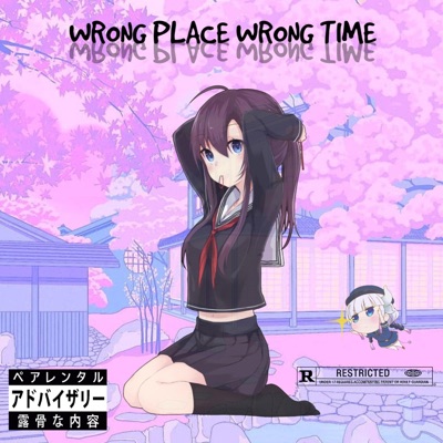 Wrong Place Wrong Time - Single