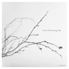 Life Passing By - Single