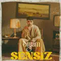 Sensiz