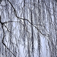 cuttingitshort.2021 - Single - Deadpan