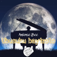 Ubusuku bayizolo (feat. S.I.B) - Single - Antonie Bee