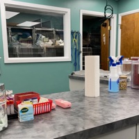 April - Single - Kenneyon