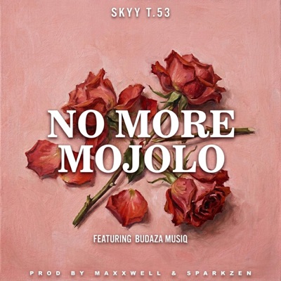 No More Mojolo (feat. Budaza MusiQ) - Single