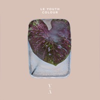 Colour - Le Youth