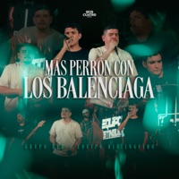 Más Perrón Con Los Balenciaga - Single - Grupo DPB & Equipo Distinguido