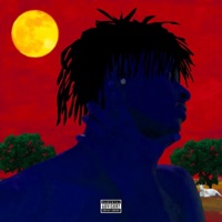 Call 4 You - Single - Vaughni