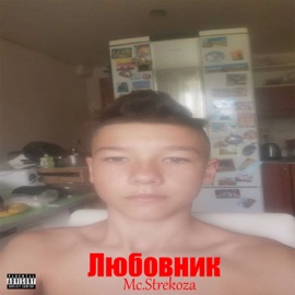 Хочу туда (feat. DADAS) Мс. Strekoza