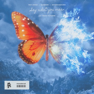 Say What You Mean (feat. Noah Cunane)