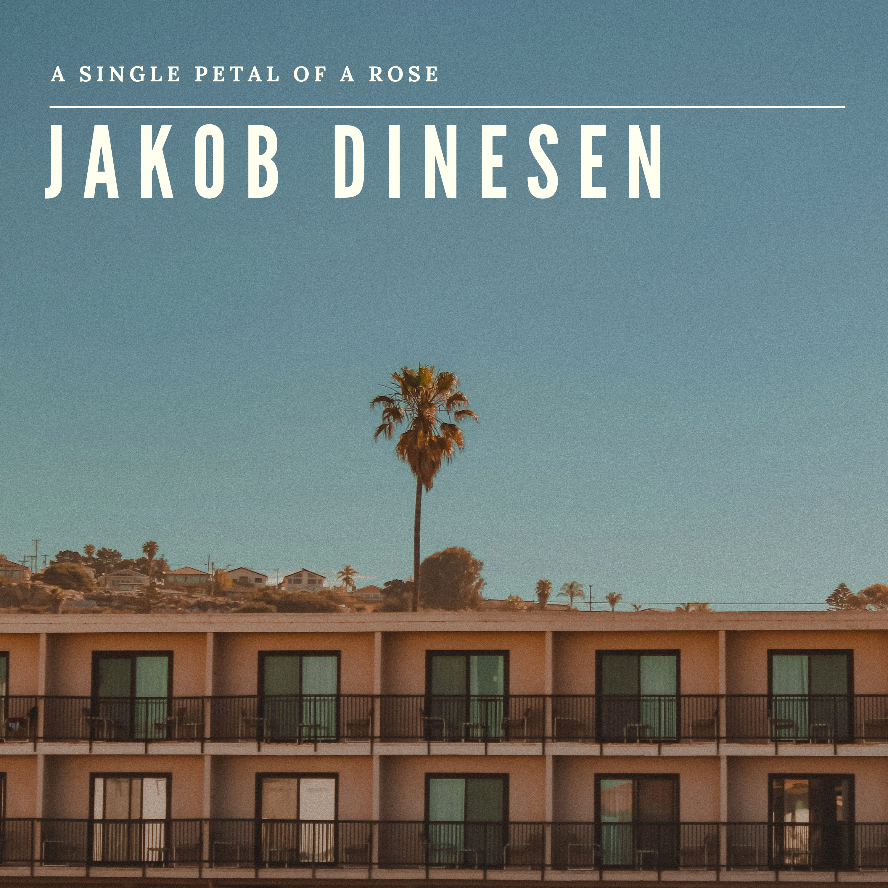 A Single Petal of a Rose - Single