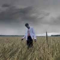пока ты любишь других - Single - ПОЧТИСЧАСТЛИВ