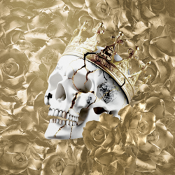Beautifully Broken (Pickin’ Up The Pieces) - Jelly Roll Cover Art