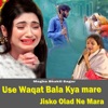 Use Waqt Bhala Kya Mare Jisko Olad Ne MARA - Single