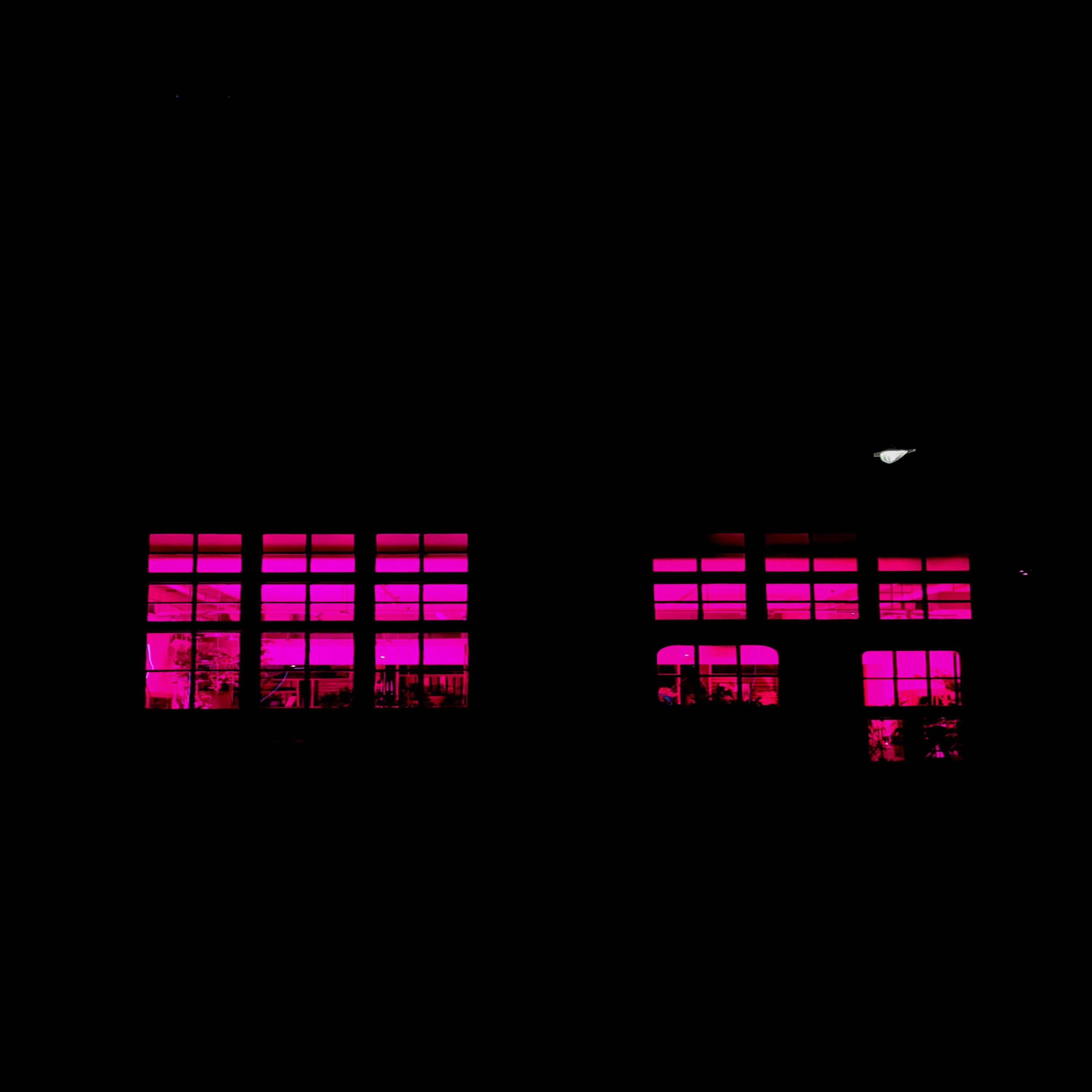 Moth To A Flame - Single