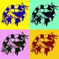 Feliz - Single - Matty Leex