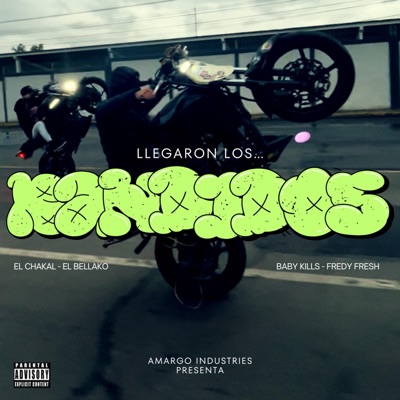 LLEGARON LOS BANDIDOS (feat. Fredy Fresh, Baby Kills & Chkal DC) - Single
