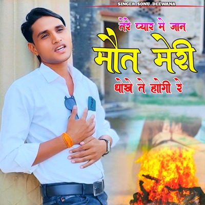 Tere Pyar Me Jan Mot Meri Dhokhe Te Hogi - Single