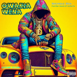 Owaka wena (feat. Star black & P stofel pa)