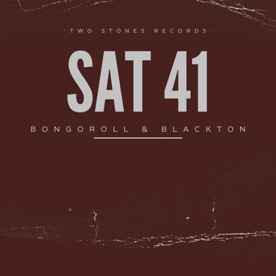 SAT 41 Dub (feat. Blackton) - Single