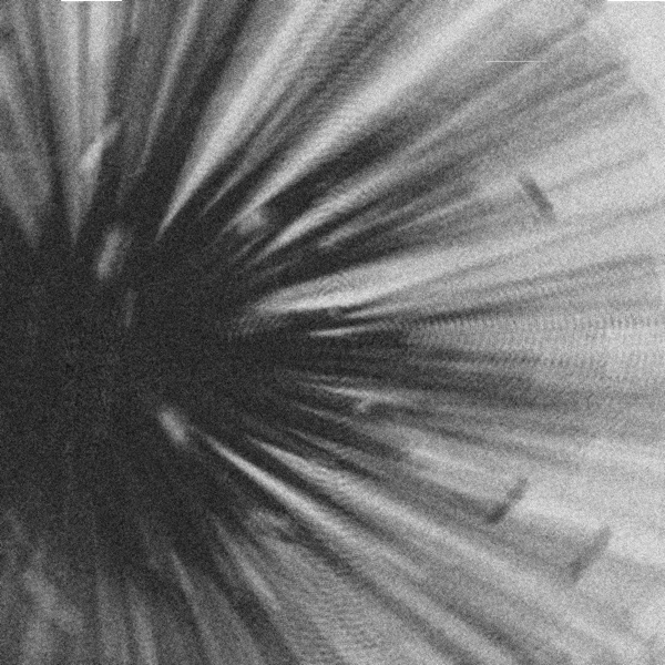 Dimensional - Single