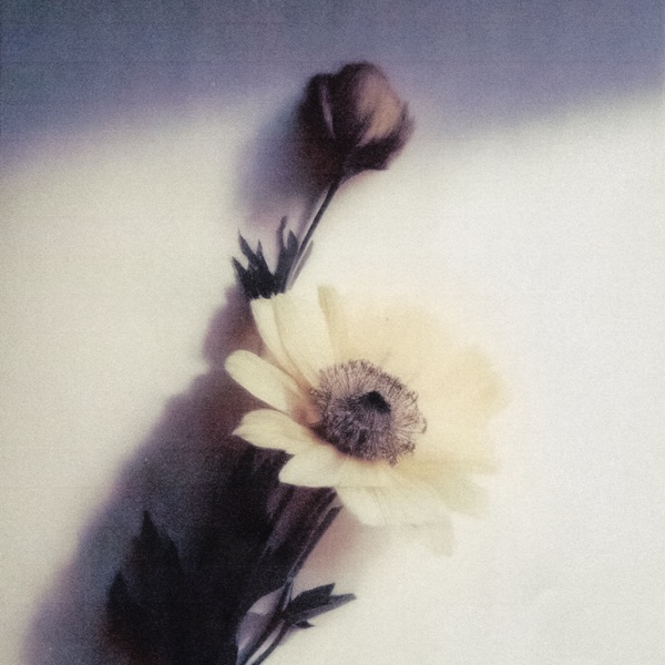 Bouquet - Single