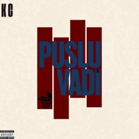Puslu Vadi - Single - Kaplan