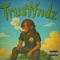 What is Ya Plan? - trustfndz lyrics