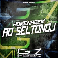 Homenagem ao Seltondj - Single - MC Pogba & DJ DINHO ZL