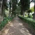 A Day in Ravello