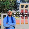 Ya Noor E Nabi Ko Dekho Zara - Single