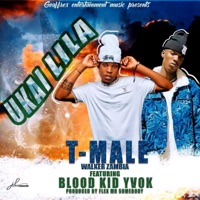 Ukal lila (feat. Blood kid yvok) - Single - Bashi T-male